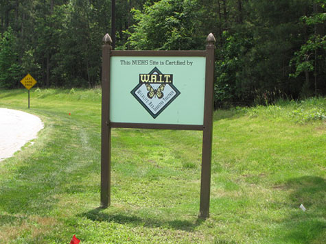 WAIT and Butterfly Highway Programs