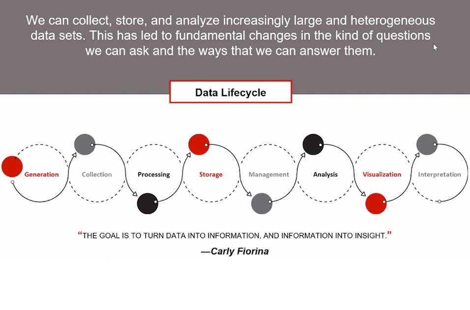data lifecycle diagram relating data engineering and data science