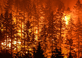 Eagle Creek wildfire in Columbia River Gorge, OR