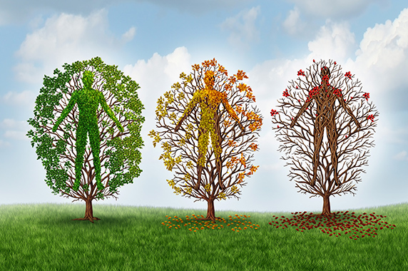tree with person in the branches