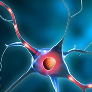 stylized illustration of an ALS neuron