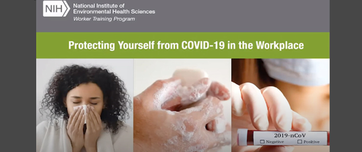 Protect Volunteers From COVID-19