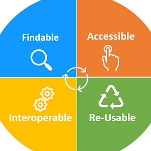 Findable, Accessible, Interoperable, Re-usable