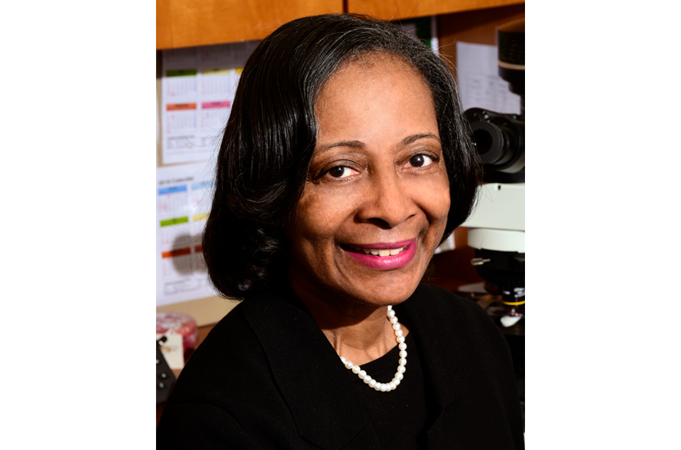 Darlene Dixon, D.V.M., Ph.D.