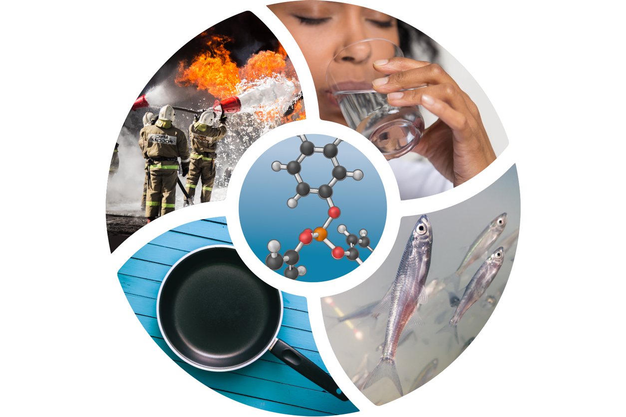 Graphic showing how PFAS chemicals leech into water supply