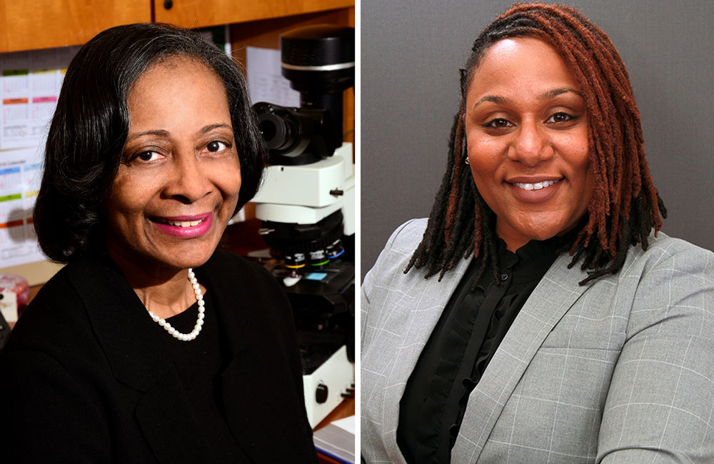 Darlene Dixon, D.V.M., Ph.D., and Melissa Smarr, Ph.D.