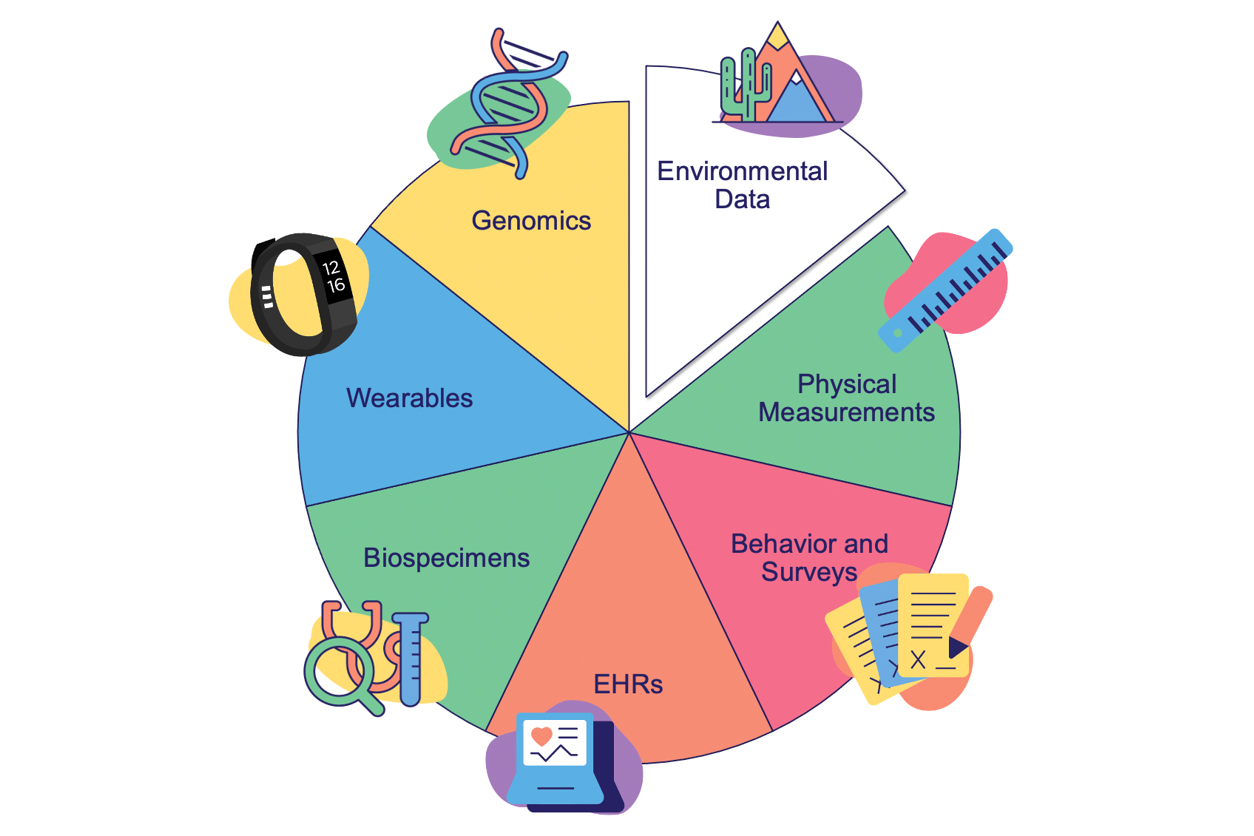 All of Us pie chart