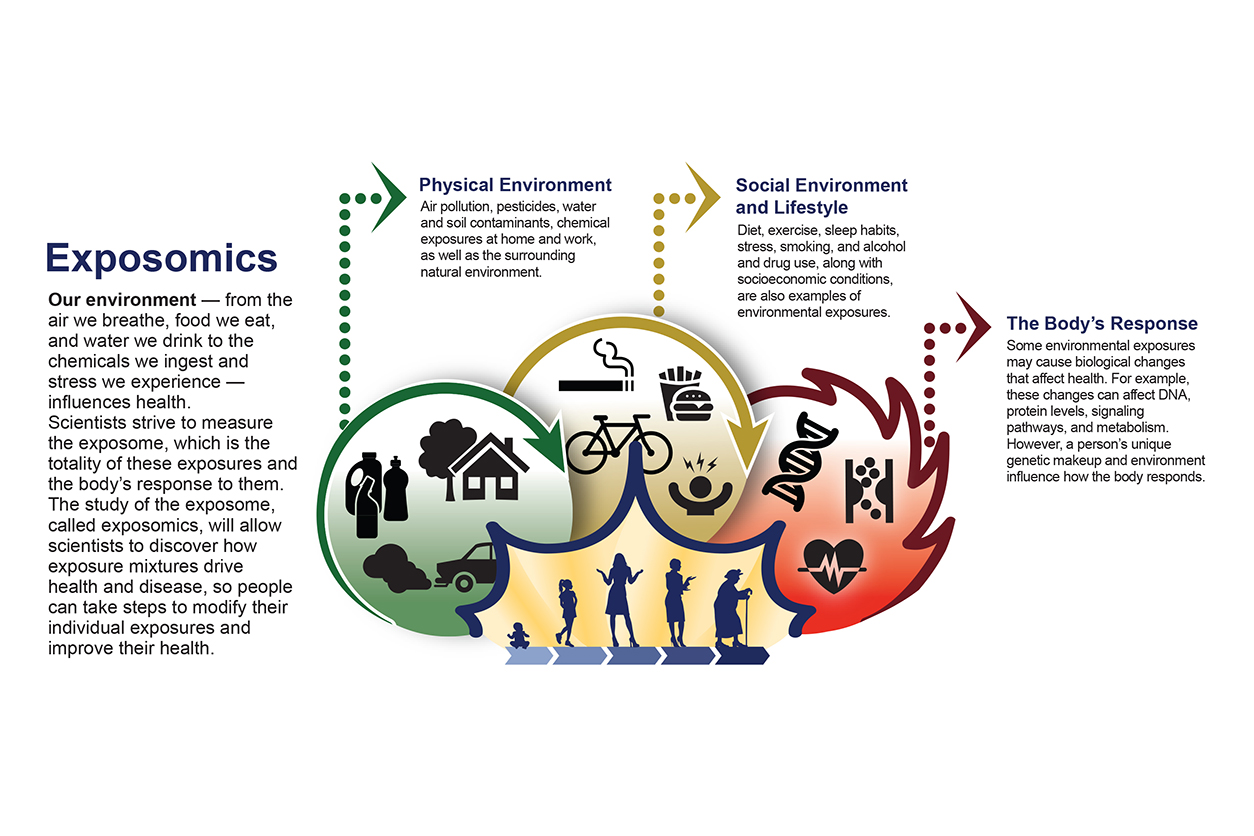 exposomics, physical environment, social environment and lifestyle, the body's response