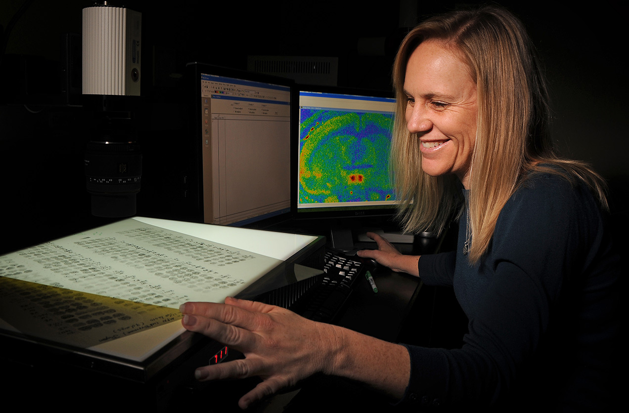 Heather Patisaul, Ph.D.