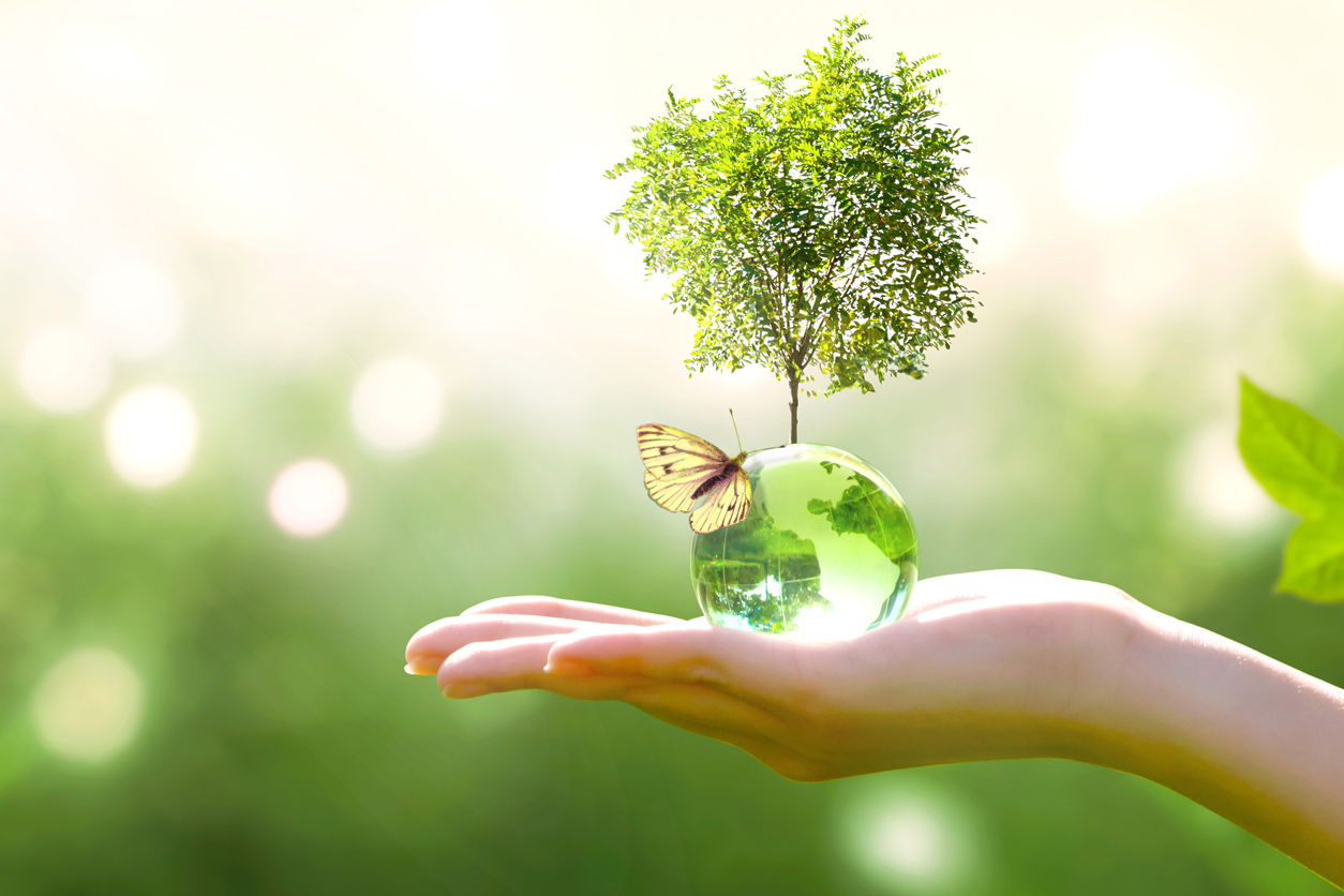 graphic of small globe, butterfly and tree on palm