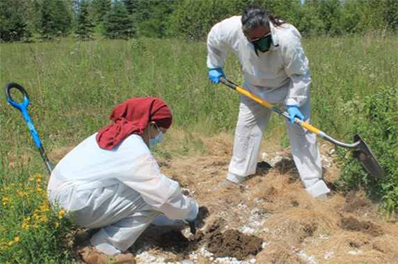 Community members plant fiber hemp, which absorbs PFAS from soil and water and prevents the contamination from spreading. (Image courtesy of Upland Grassroots)