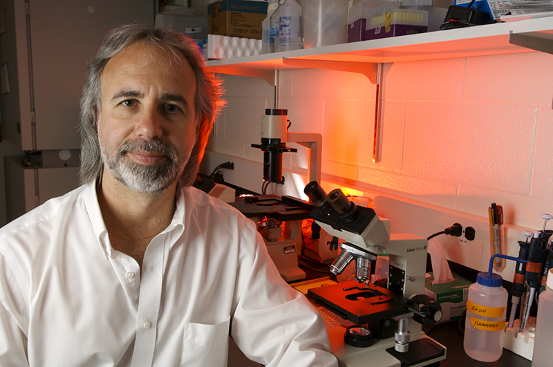 Norbert Kaminski, Ph.D., in a lab
