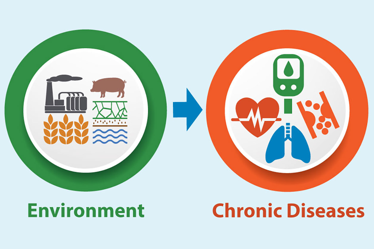 Circle with icons representing the Environment (water, factory, grain and a pig) with an arrow leading to a circle with icons (heart, lungs, veings) representing Chronic Diseases.