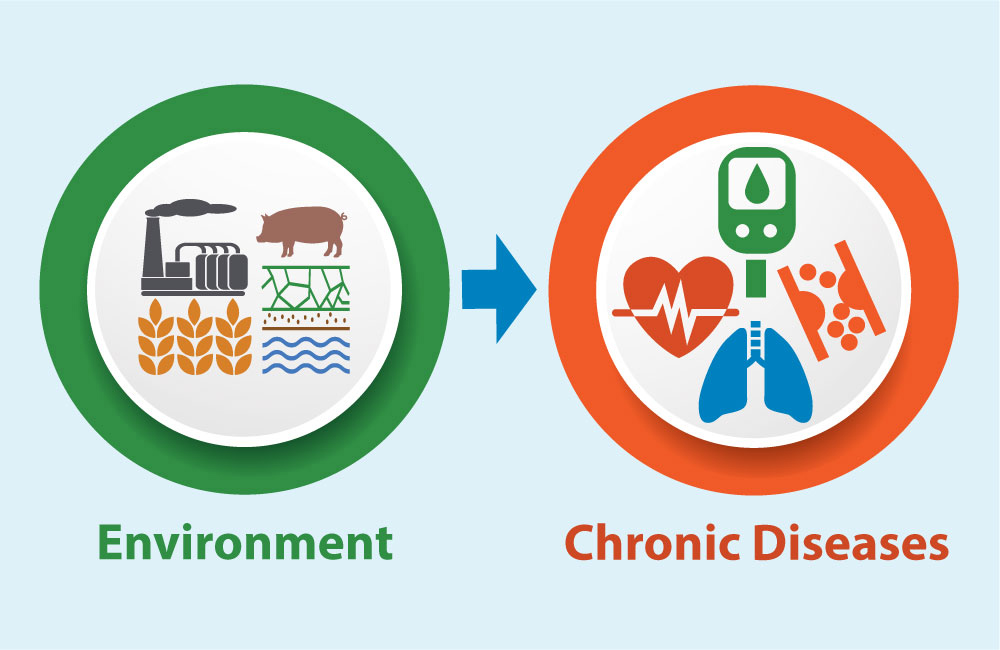 Circle with icons representing the Environment (water, factory, grain and a pig) with an arrow leading to a circle with icons (heart, lungs, veings) representing Chronic Diseases.