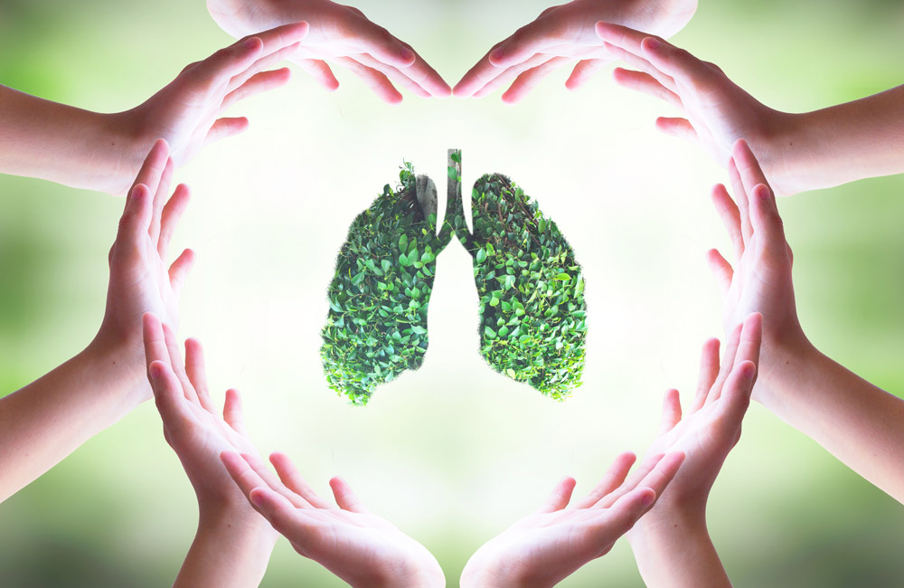 hands in a heart shape around a lungs made of grass