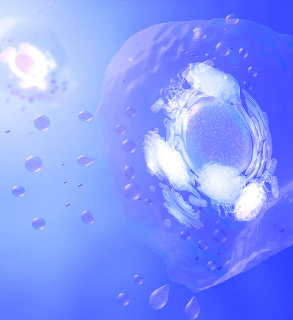 Extracell vesicles are nanosized bubbles of membrane