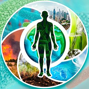 NIEHS seeks to support research that uncovers how environmental exposures together affect the gut microbiome-brain axis and potentially drive neurological conditions. (Images courtesy of NIEHS) 