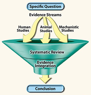 illustration of systematic review process