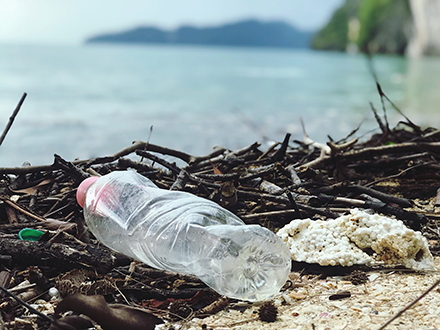 empty plastic bottle on beach