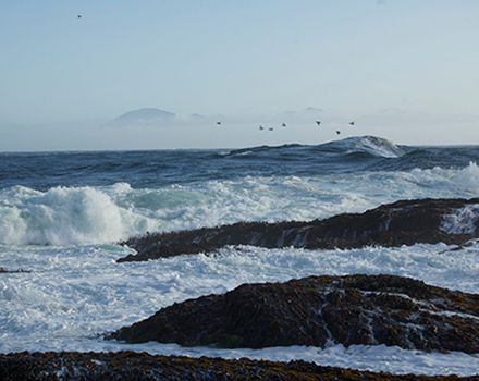 ocean waves