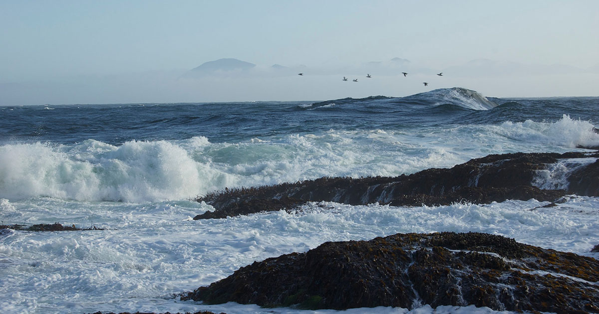 ocean waves