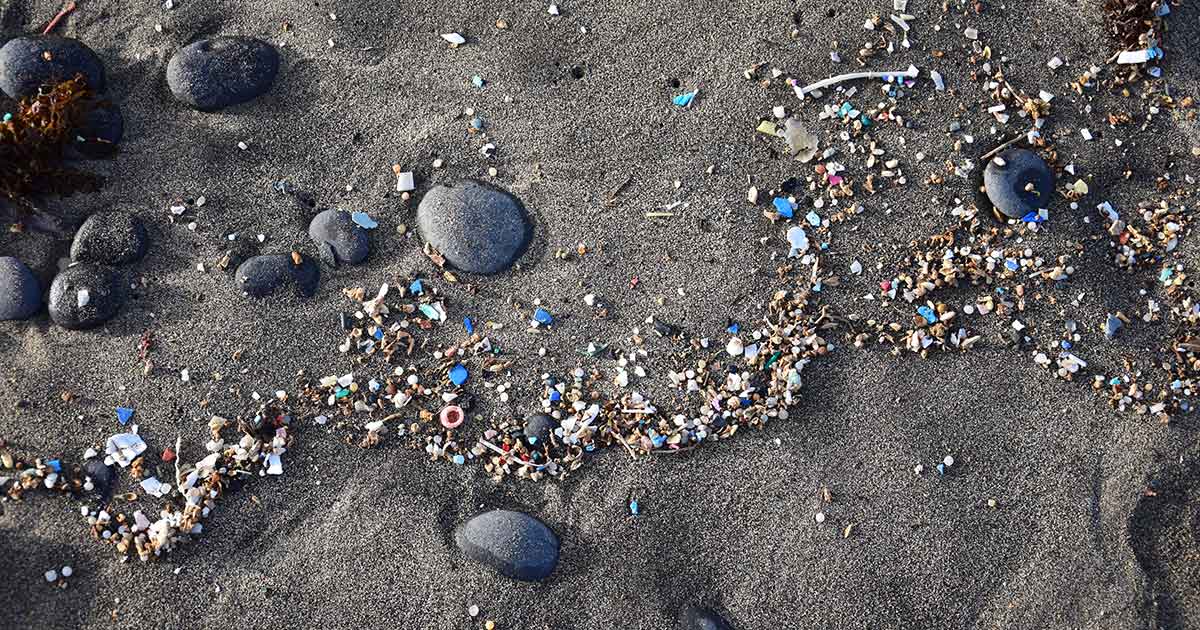 plastic particles and pieces scattered in the sand