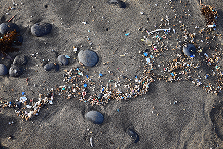 plastic particles and pieces scattered in the sand