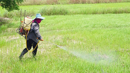 a person spraying pesticides on a field
