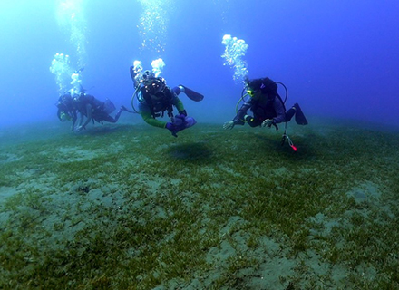 3 scuba divers underwater