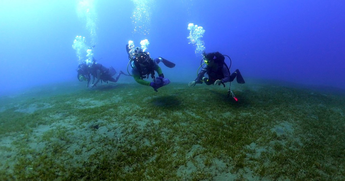3 scuba divers underwater