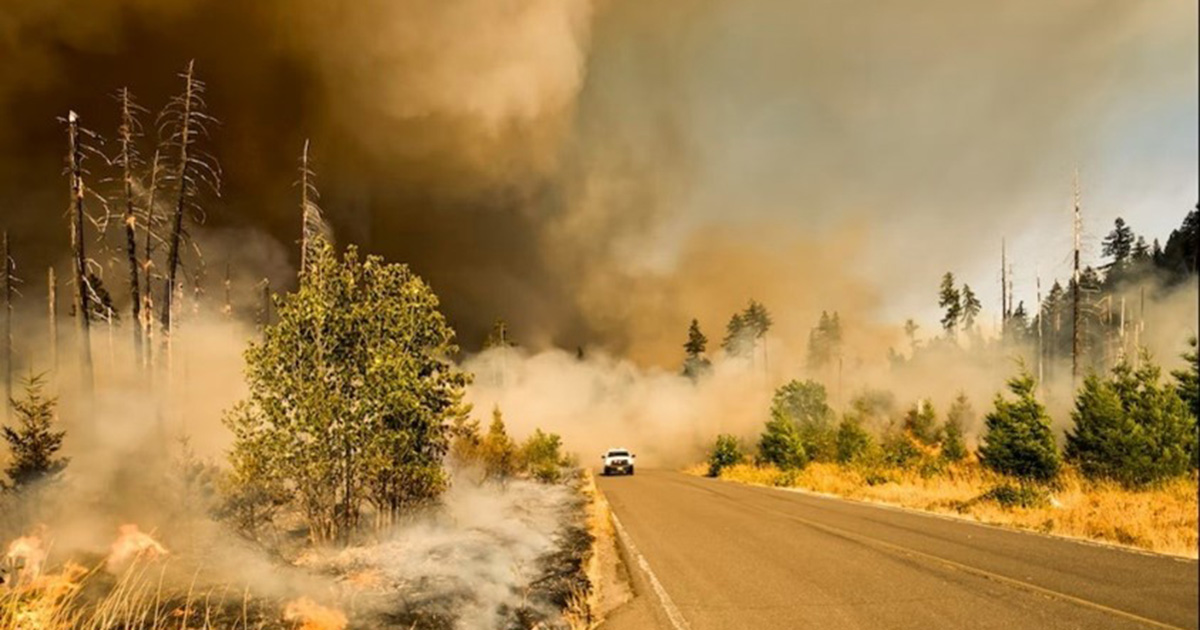 roadside wildfire