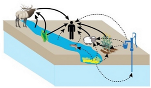 Navajo Nation can be exposed to contaminants in a variety of ways such as via water, food, and animals