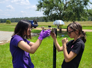 People taking field measurements