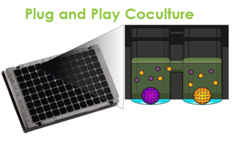 The MSU co-culture system mimics interactions between different cell types