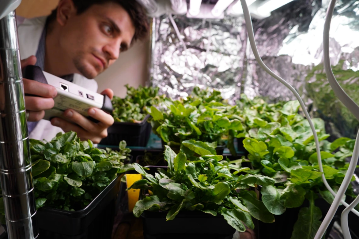 Man leaning over plants