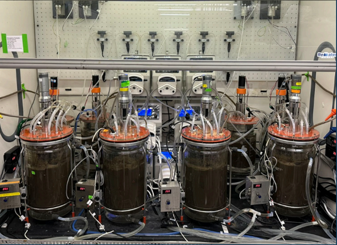 Bioreactors in a lab