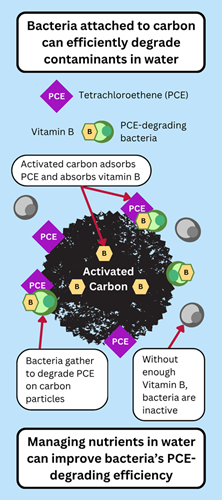 Bacteria attached to carbon can efficiently degrade contaminants in water. Managing nutrients in water can improve bacteria's PCE-degrading efficiency.