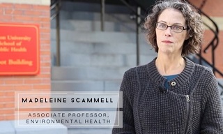 Madeleine Scammell in the video series