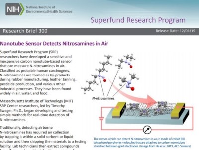 Screenshot of Research Brief 300