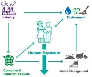 Dartmouth factsheet showing human exposure to contaminants through the environment, industry, consumer products, and waste management.