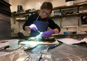 URI SRP trainee Anna Robuck studies a seabird