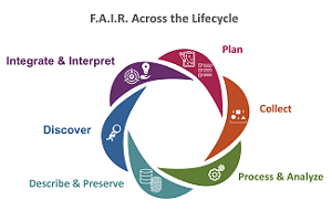 F.A.I.R across the lifecycle