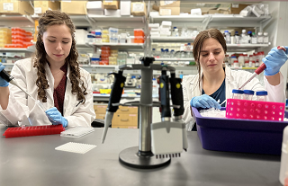 two women working with pipettes in the lab