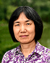 Chen Qiu, Ph.D.