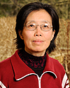Leilei Zhang