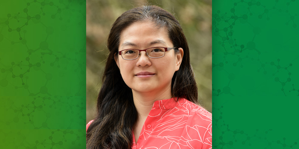 Amy Wang, Ph.D.