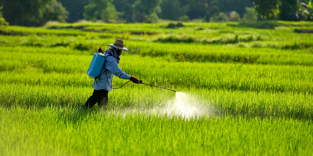 Man spraying pesticides on grass