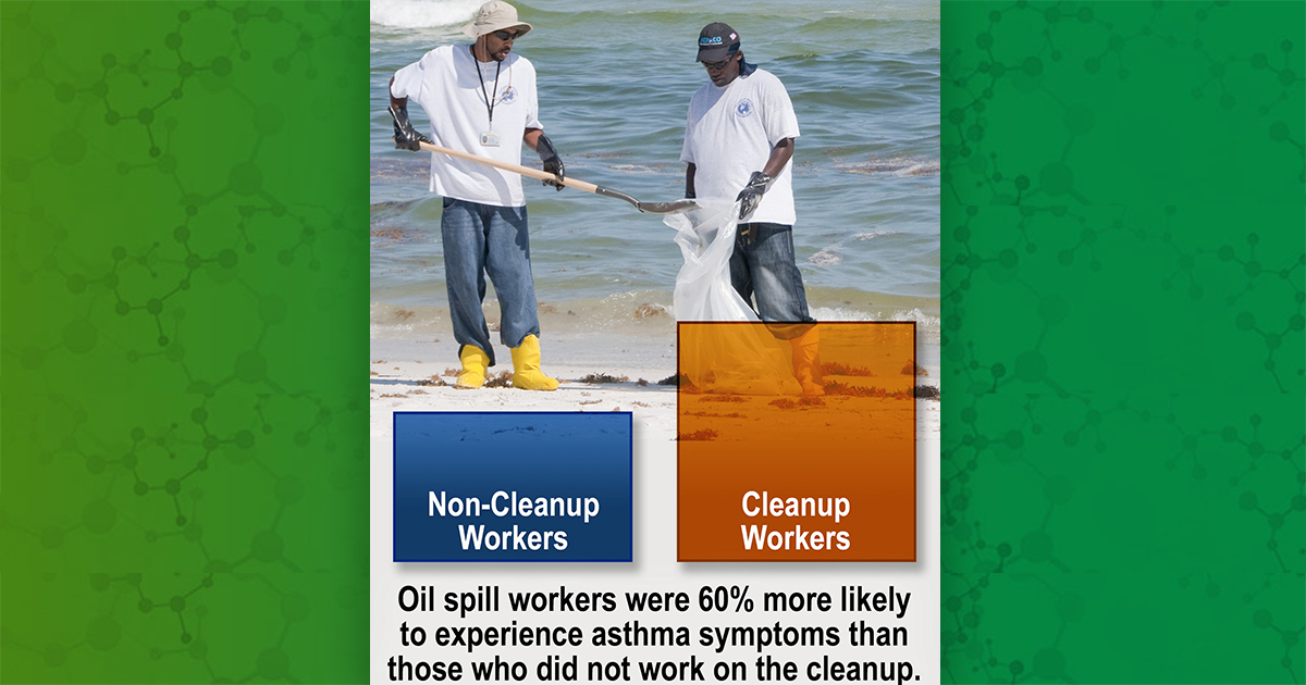 Workers cleaning up beach after oil spill