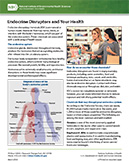 Endocrine Disruptors and Your Health