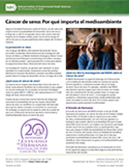 Cáncer De Seno: Por Qué Importa El Medio Ambiente Cover